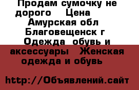 Продам сумочку не дорого! › Цена ­ 500 - Амурская обл., Благовещенск г. Одежда, обувь и аксессуары » Женская одежда и обувь   